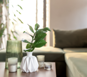 feng shui home staging intérieur lumineux plante